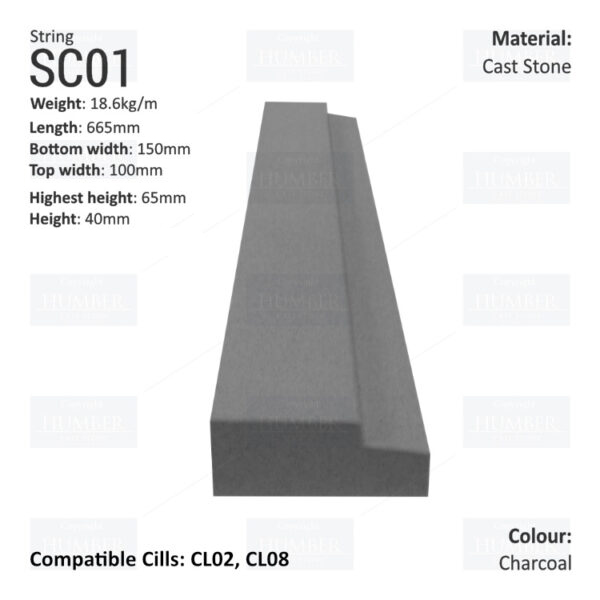 Traditional String Course SC01