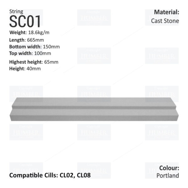 Traditional String Course SC01