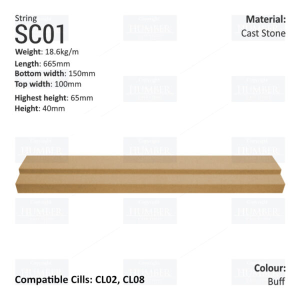 Traditional String Course SC01