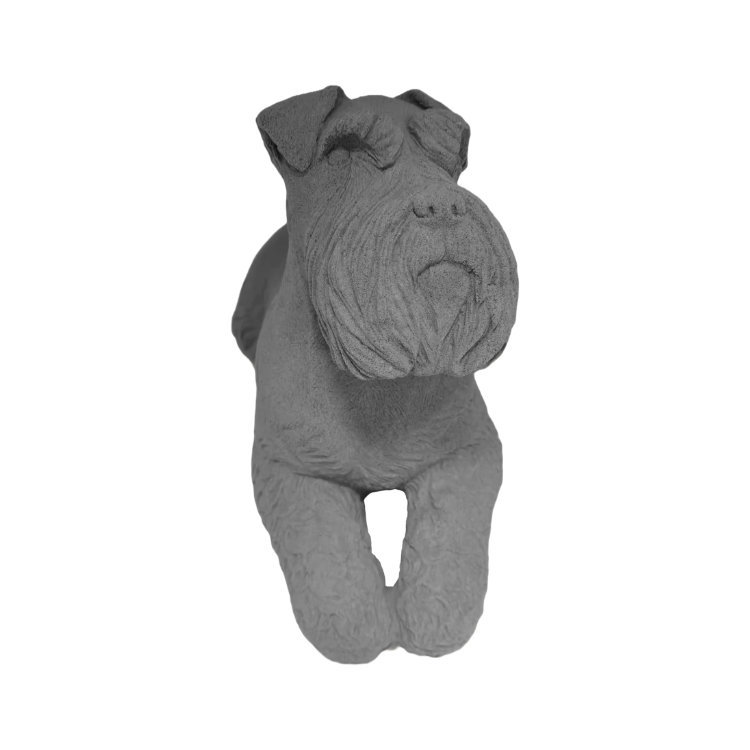 Schnauzer Dog_10-819 front-CHARCOAL